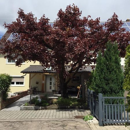 Apartmentvermietung Ingrid Bolkart - Voehlino 2 Illertissen Εξωτερικό φωτογραφία